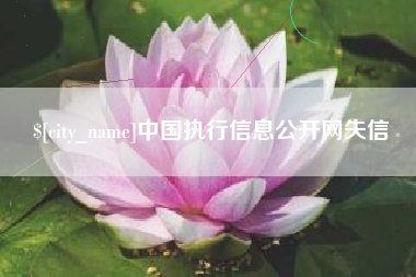 南通中国执行信息公开网失信