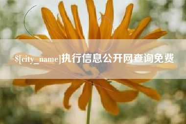 南通执行信息公开网查询免费