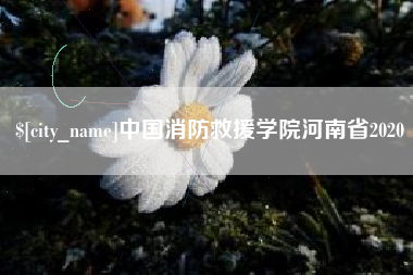 南通中国消防救援学院河南省2020