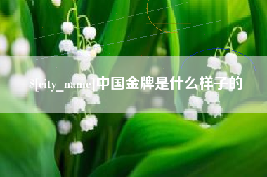 南通中国金牌是什么样子的